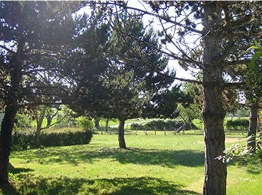 Gites Chez Belliveau Meursac Buitenkant foto