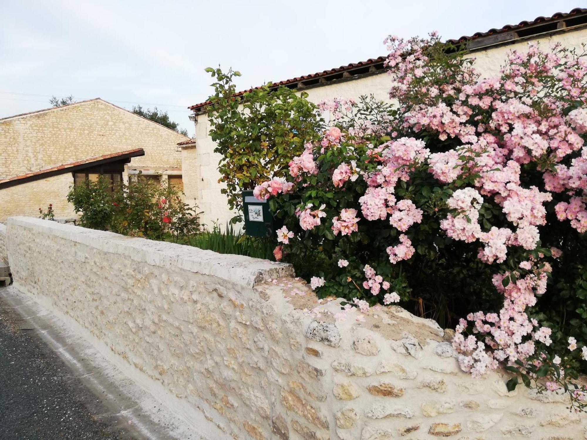 Gites Chez Belliveau Meursac Buitenkant foto