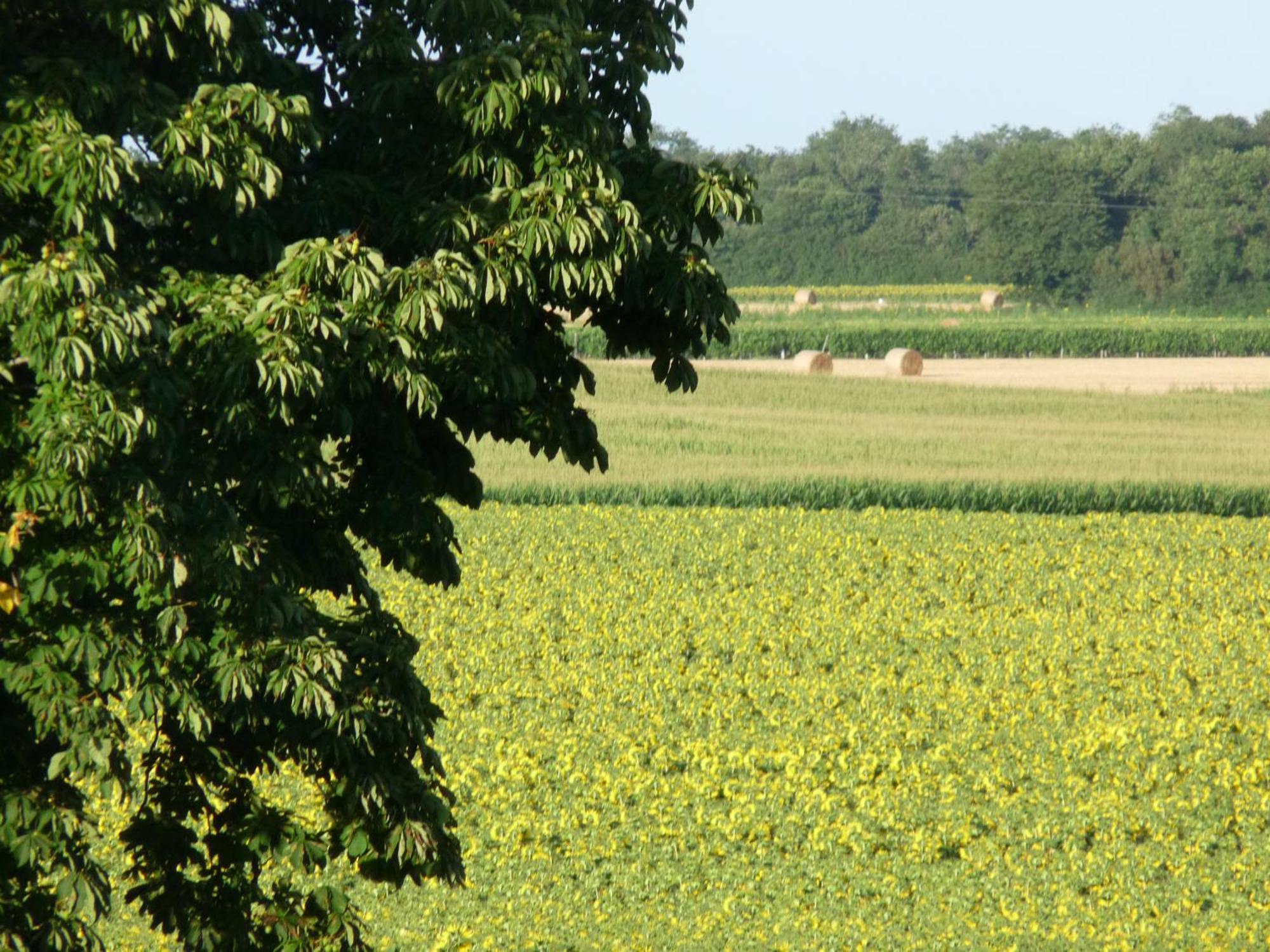 Gites Chez Belliveau Meursac Buitenkant foto