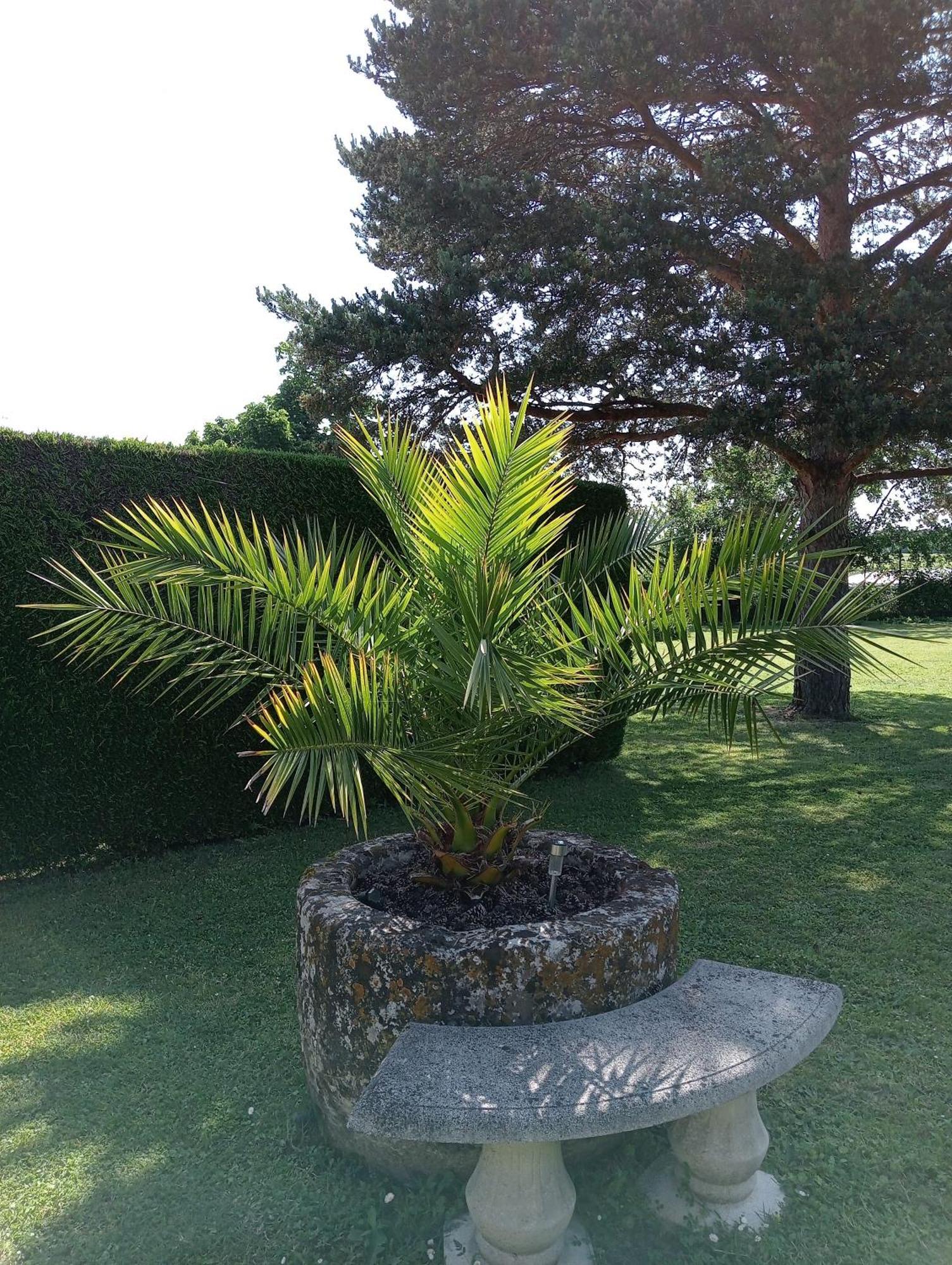 Gites Chez Belliveau Meursac Buitenkant foto