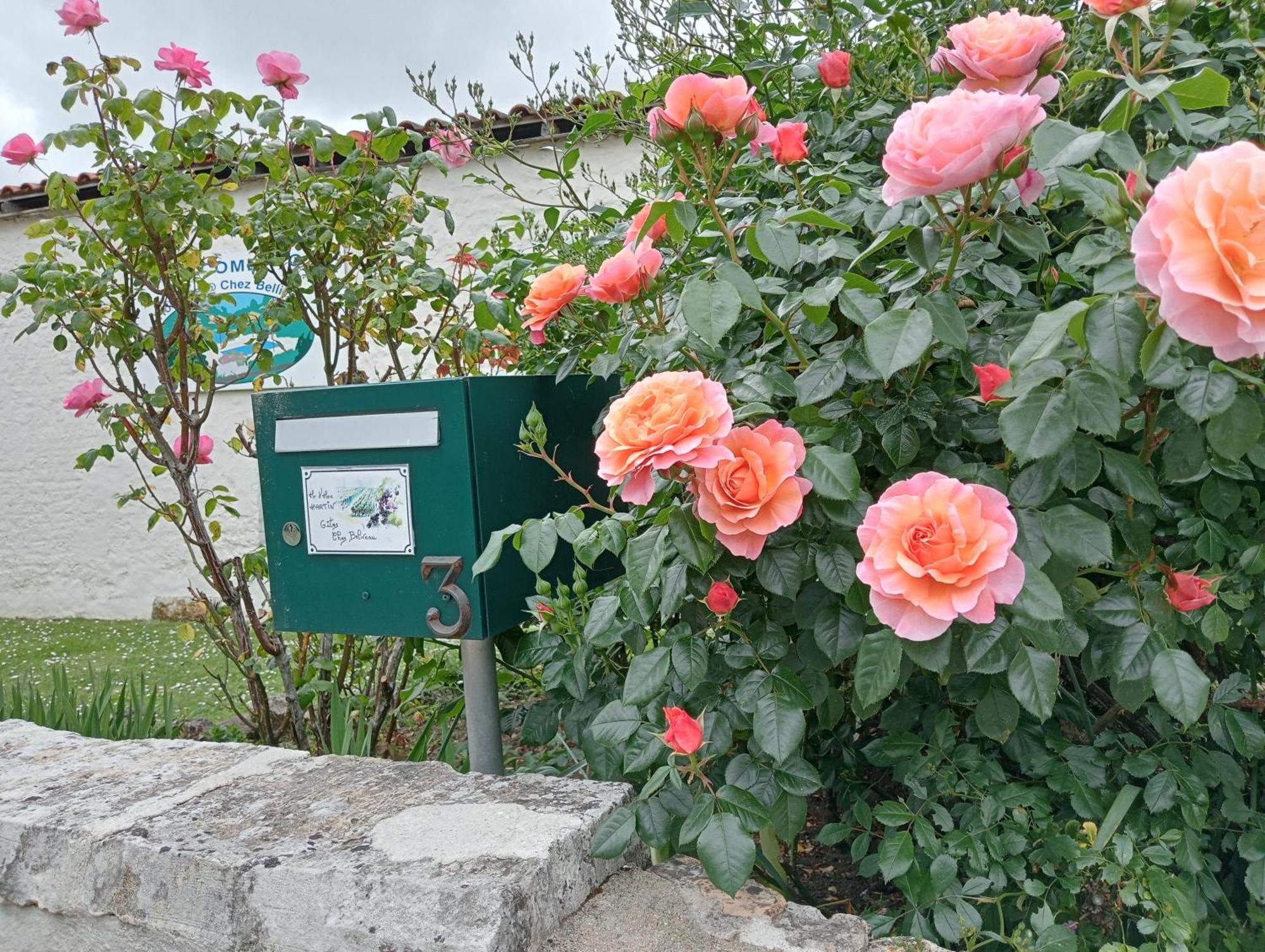Gites Chez Belliveau Meursac Buitenkant foto